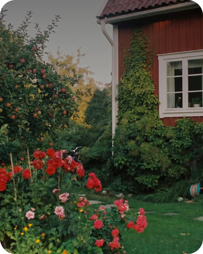 Hus med blommande trädgård